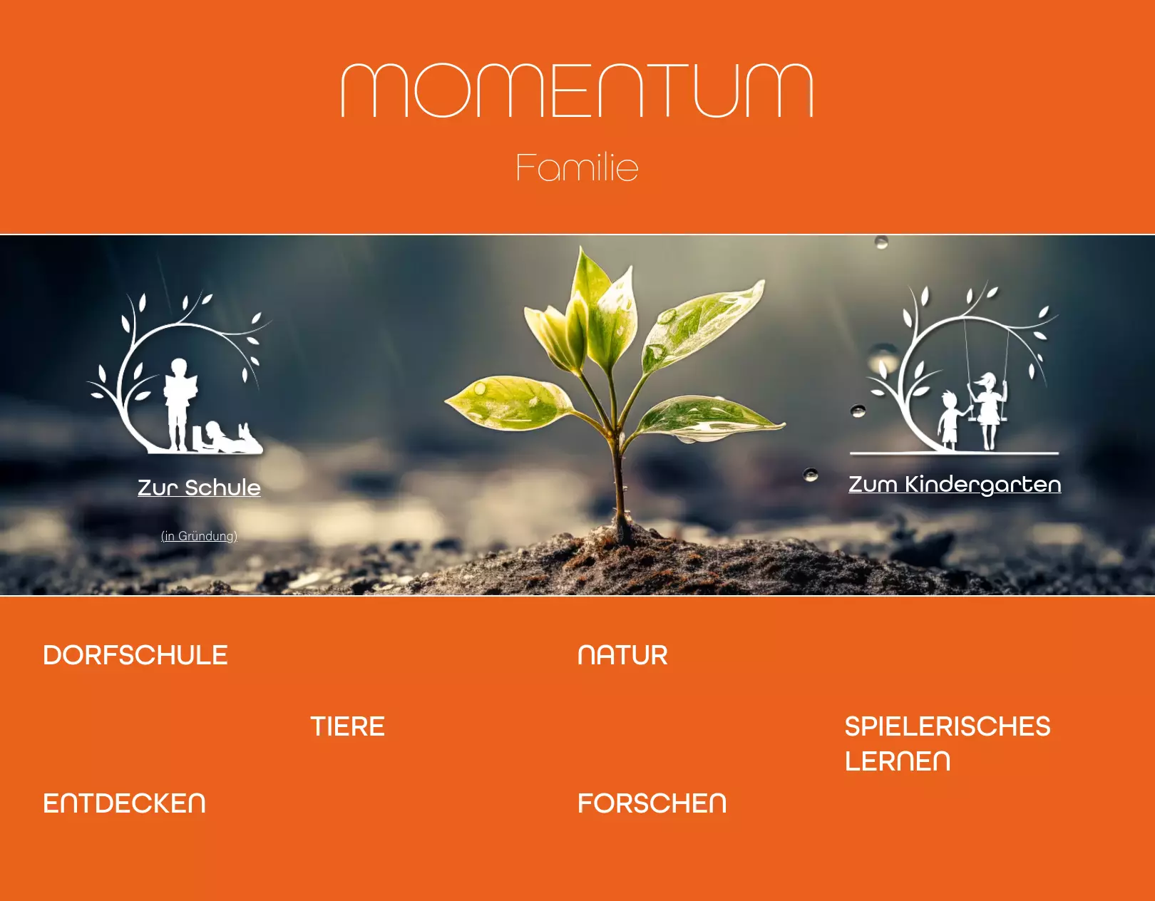 Momentum - project image