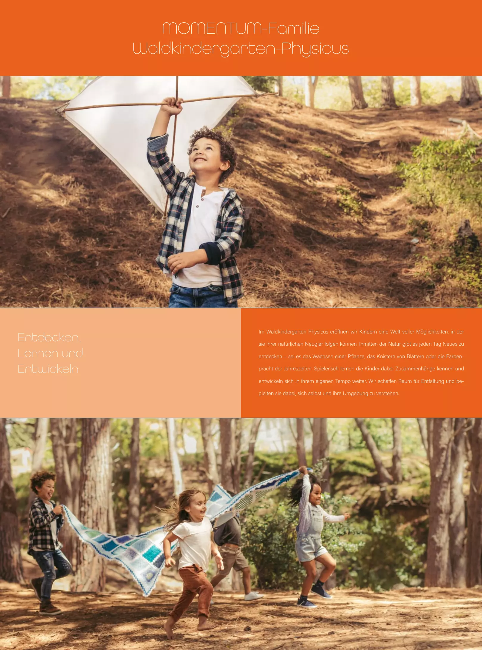 Momentum - image 2